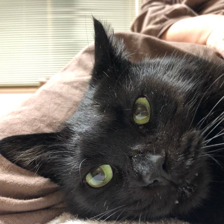 A6aca54a 5186 4917 9d24 5bde1e14c9de 1603287175717