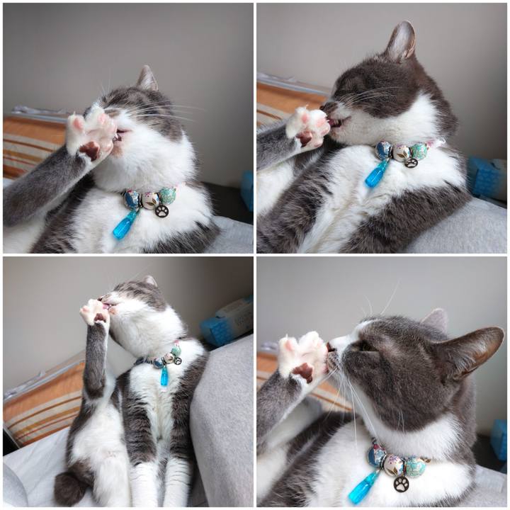 A6ad03c9 e34a 4246 86f4 d7b1c312e202 1680923579140