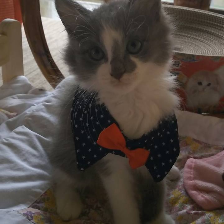 A6ad20f1 1023 464c b2f8 d3bb21b2e772 1561784229779