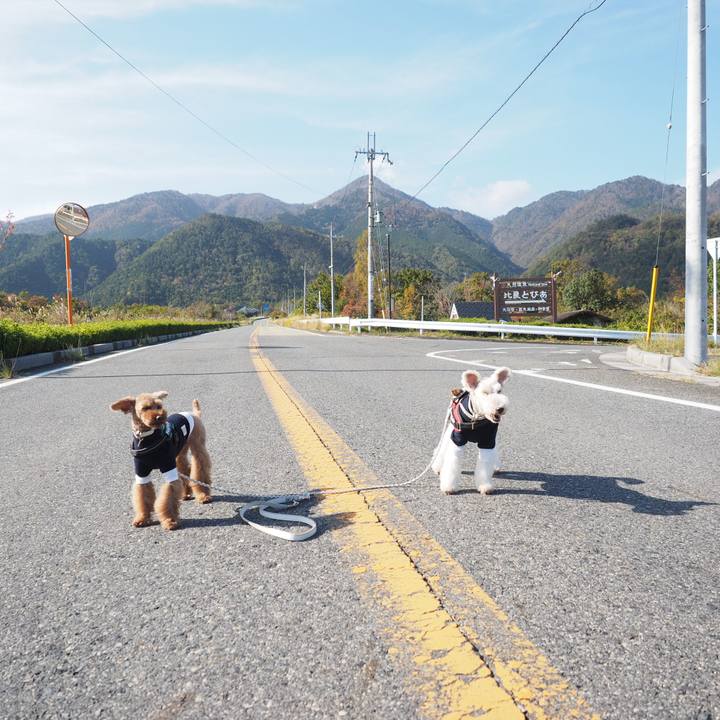 A6ad42e2 aec9 4d14 8bbe 9a4ff56b3bc0 1574046359830