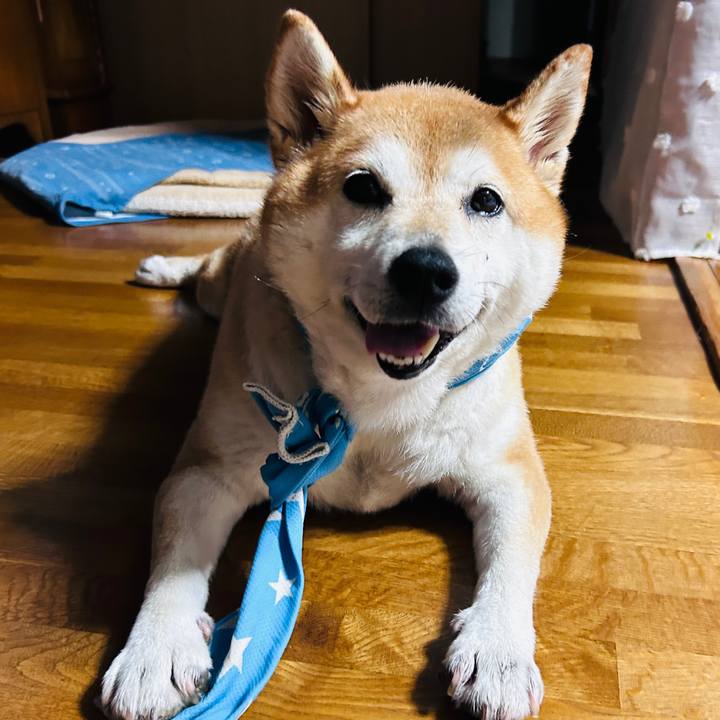 A6ad82f0 064c 4392 96a9 5bcbdc8f8e69 1726050227957