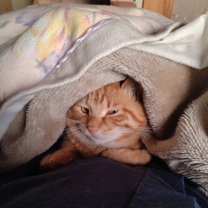 A6ad846d d539 470e 9597 a04d982a5dcc 1683232446739