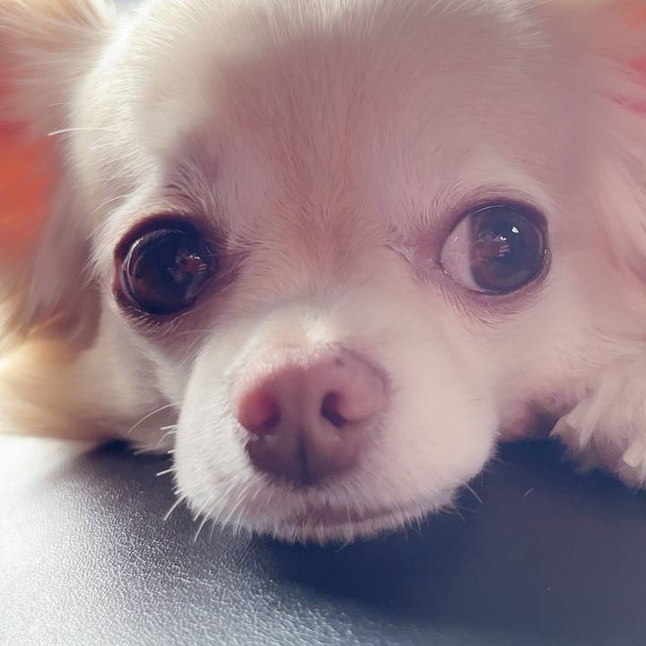 A6ad9cb0 f147 4311 9073 040f6b3c543d 1754730921374