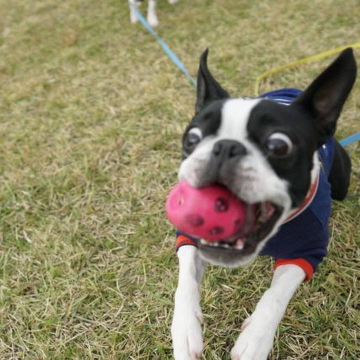 A6ada19b 9cbc 4223 acb6 9e932fc026d3 1543126920920