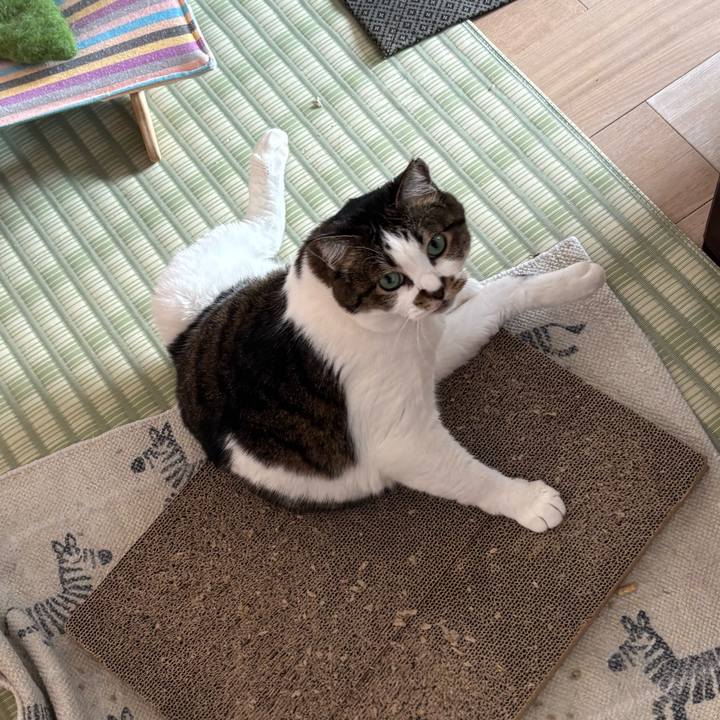 A6ada98a 2c0b 44e3 ae43 d9d16bf362dc 1758979545437