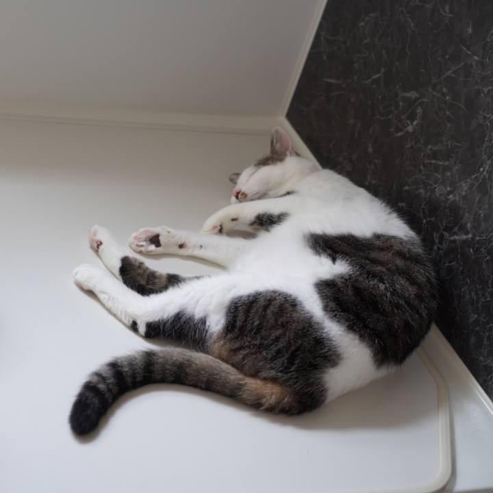 A6adb57e 3d8e 41d0 9f10 a98c513f531b 1626065219712