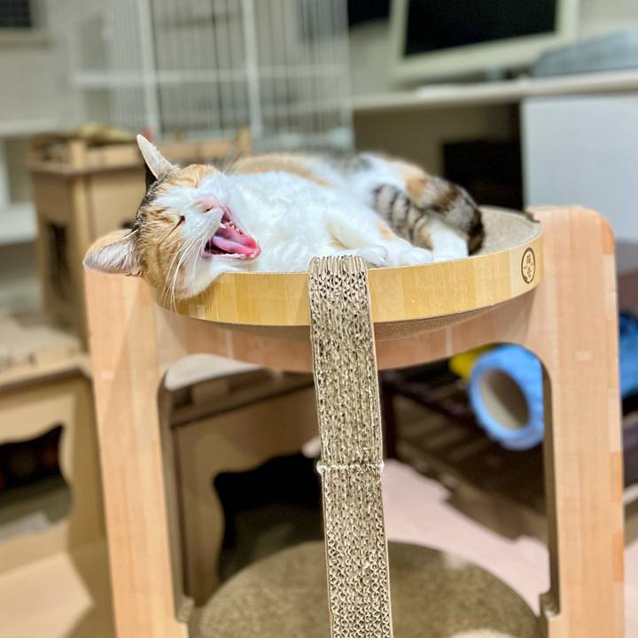 A6adcbf5 34ba 40a6 9785 3850c71b3cf0 1773459424582