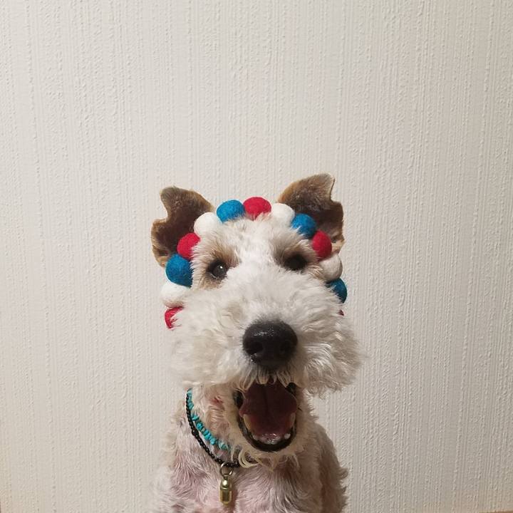 A6adfe6b 209b 4dd5 94d3 a2a346872c5b 1560431868307