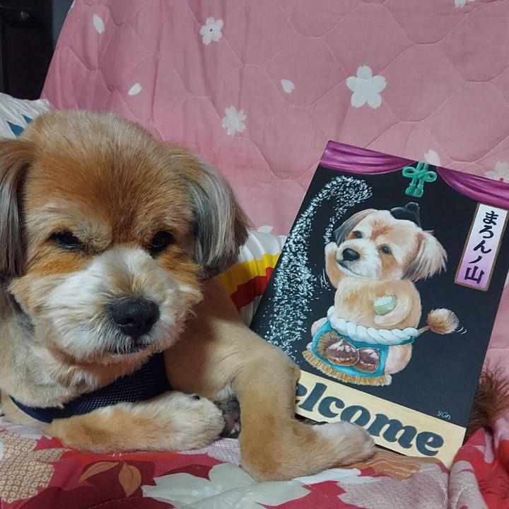 A6ae22ae a049 470a 8e67 b6216aef84b3 1617884327526