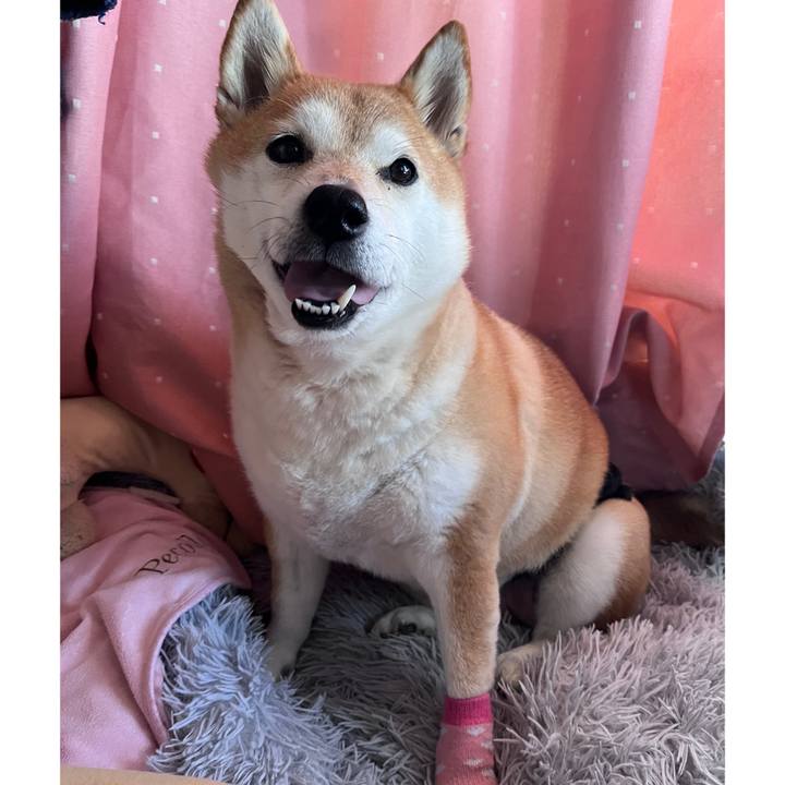 A6ae49b7 152f 45d4 a980 fb74097c9bb4 1707611926240