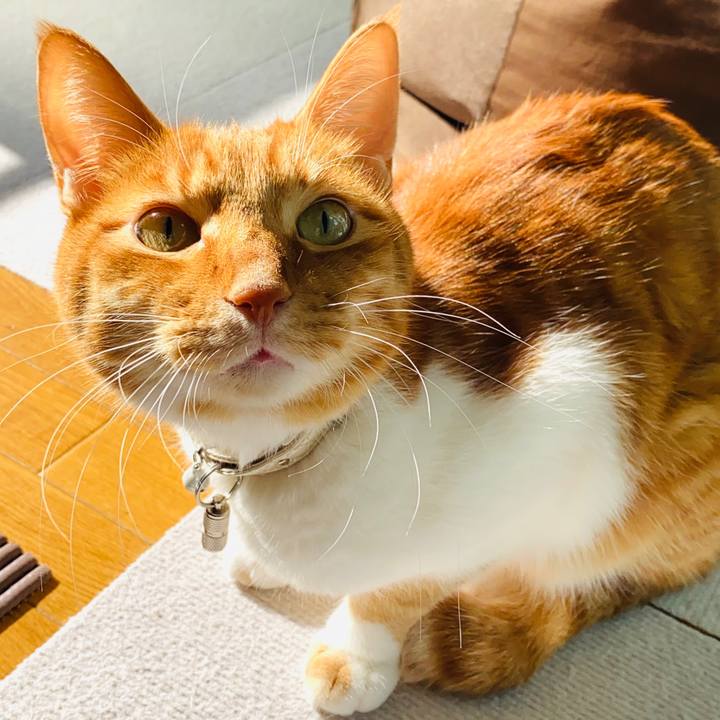 A6ae7ac2 b310 46f7 87e8 e4daa6b9ac57 1640950024169