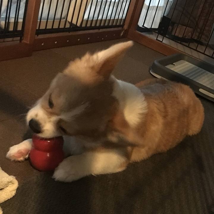 A6aefbf8 0303 4c35 a903 689e94cc3708 1560213643216