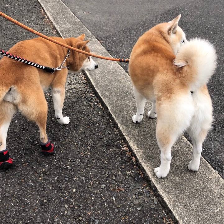 A6af5287 580a 40c8 9678 6af093bc728b 1579127551213