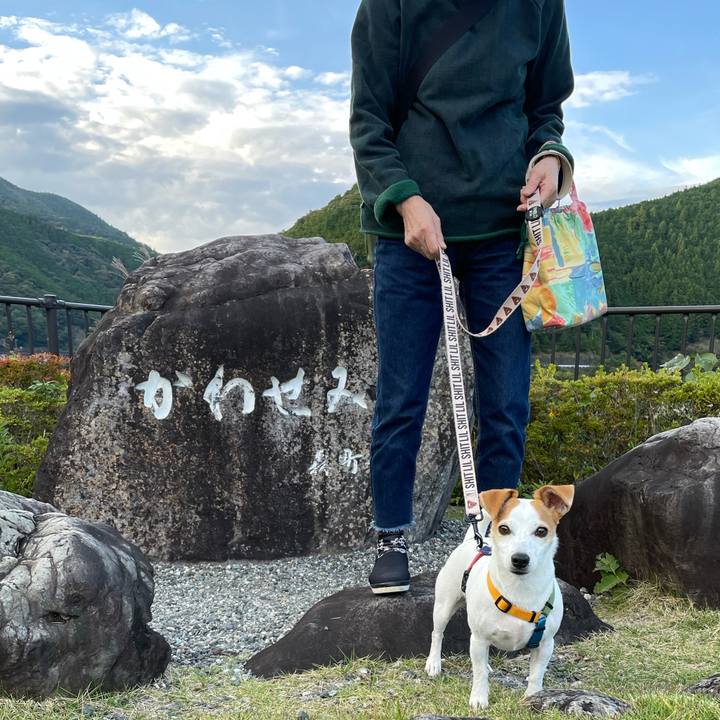 A6af792a 2e3a 48fc b48e 5b29da6f91a7 1635408229230