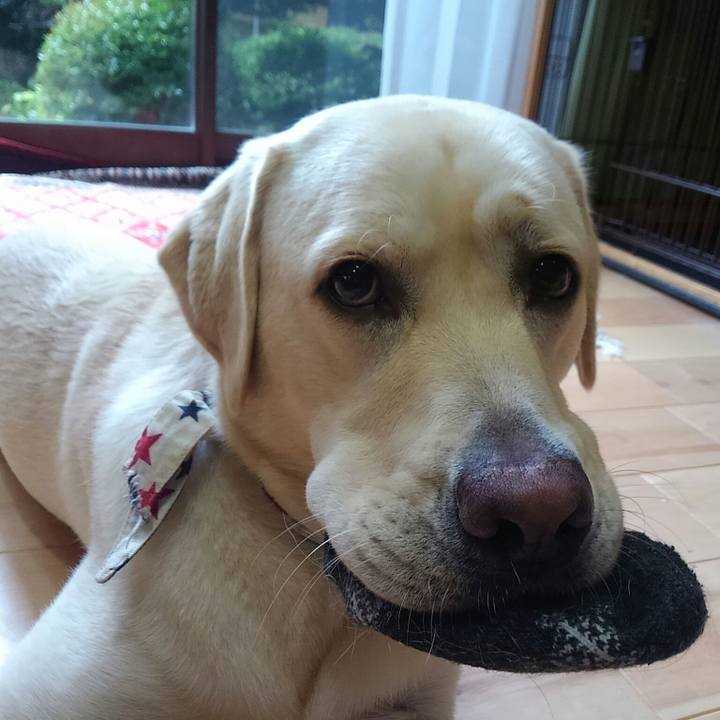 A6afb7f6 cf73 4d43 a133 194df573f5ff 1508555795944