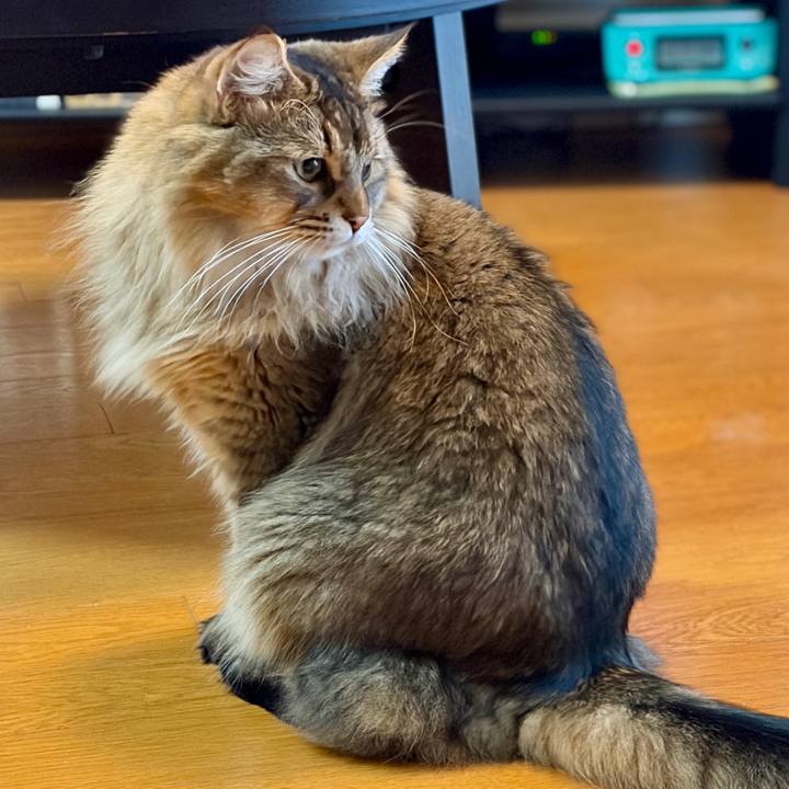 A6afc0a1 0c9b 4a79 a550 9d87f7eef69e 1759962229307