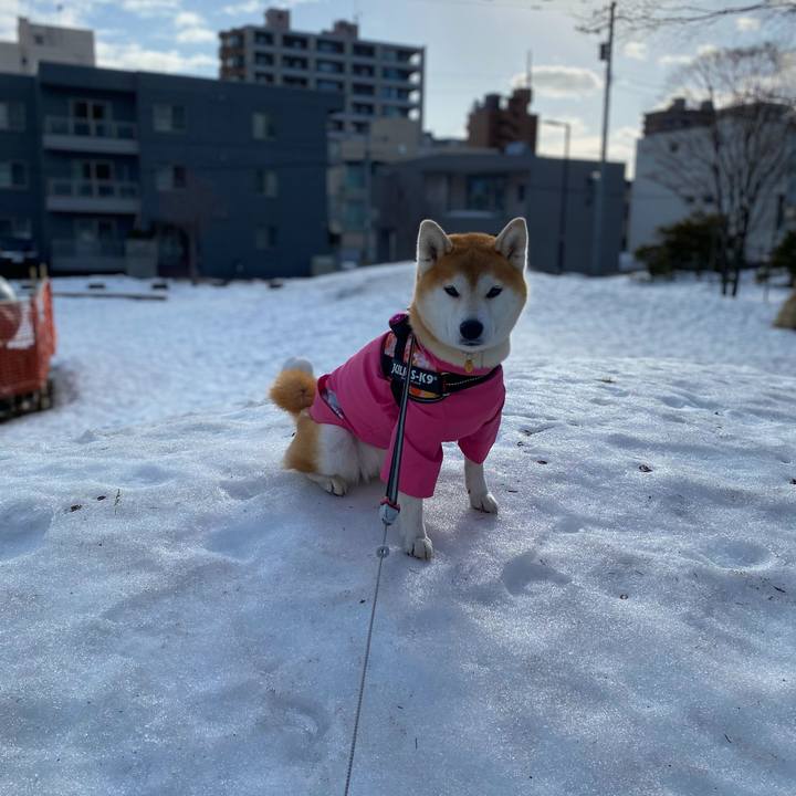 A6b020fa 931e 4dc9 992b 7ddca4f05474 1615941469259