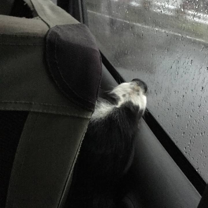 A6b0c838 e752 438b 9a6d 6c86028d6fda 1585259419452