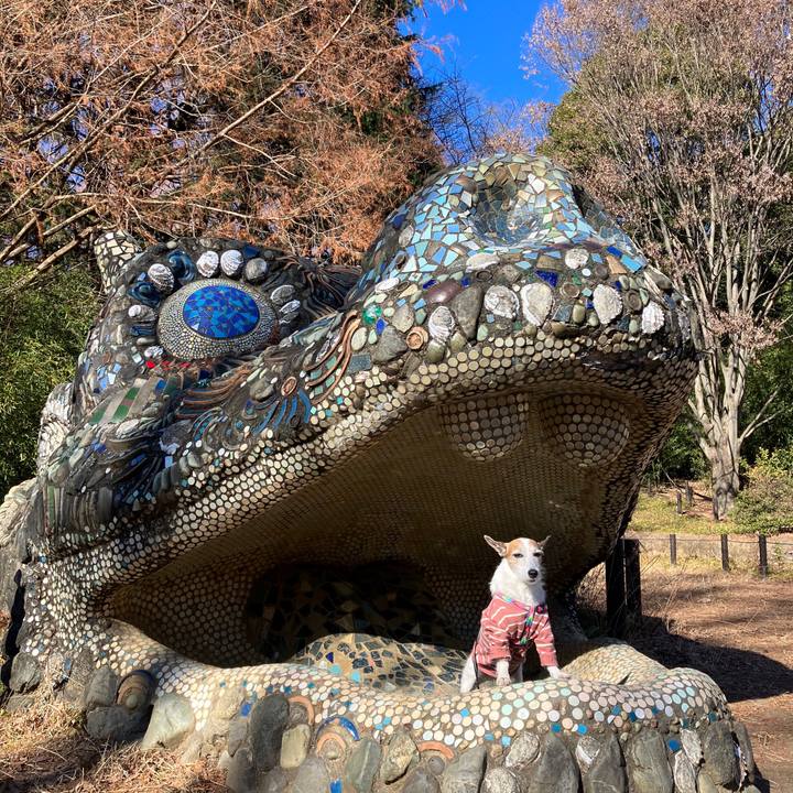 A6b0ea05 f997 4df2 b9bc fd7bf7c65c59 1704842509907