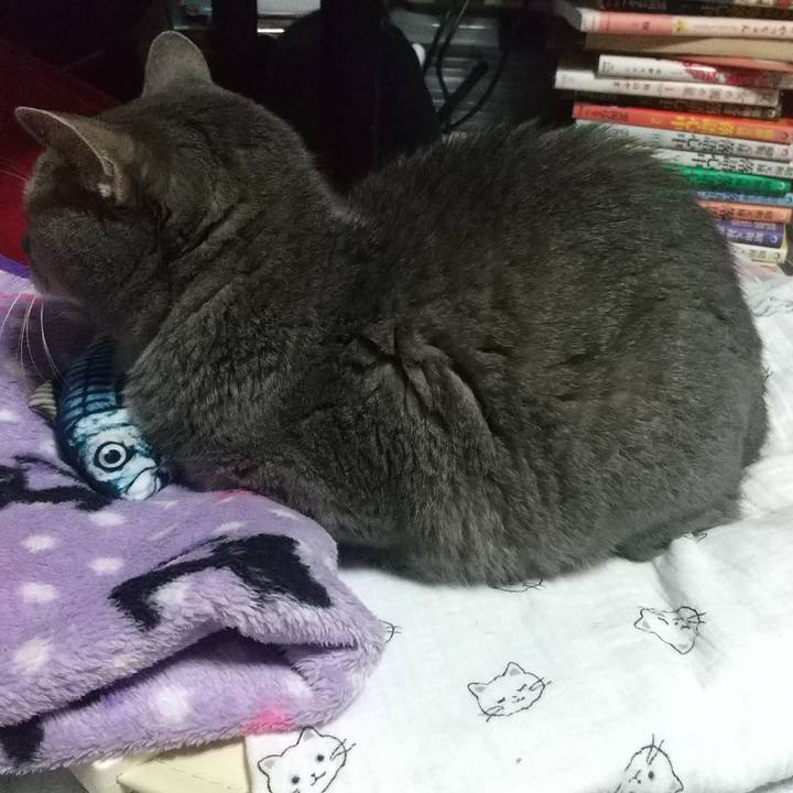 A6b12fe0 004a 4c2e b8ea 707b245e3ccf 1665152656894