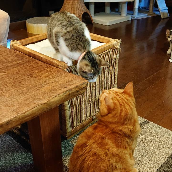 A6b13c08 55d4 453f 8601 e118778c17db 1547465993838