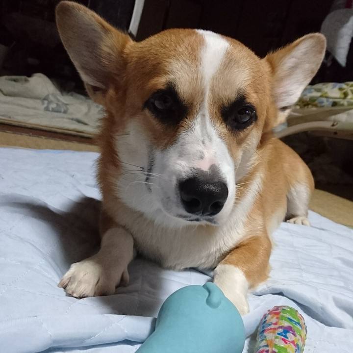 A6b16710 a002 4f4e a25e 57638993e32e 1569902304080