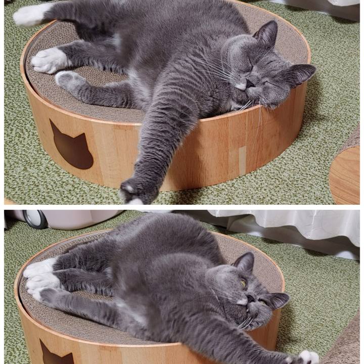 A6b17a40 3858 4672 9856 da10f62726a8 1637587849673