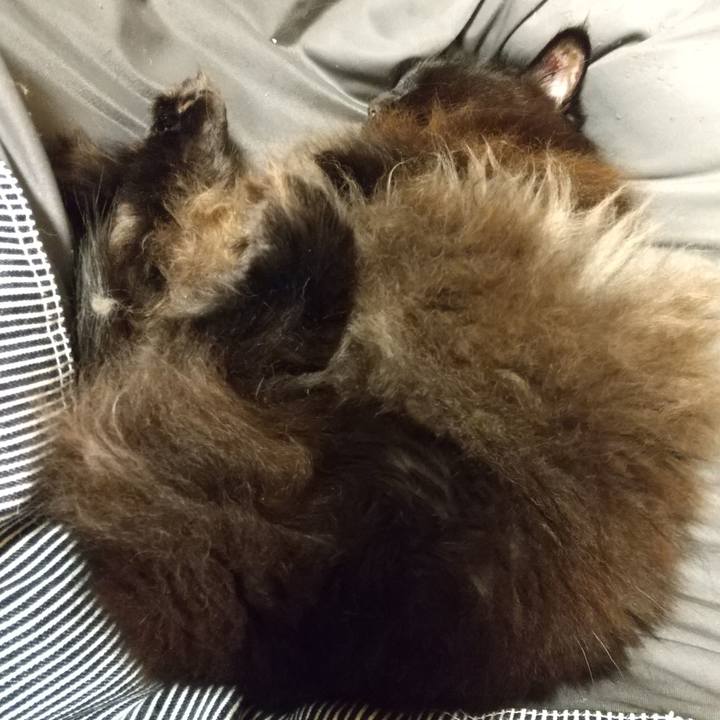 A6b17ff0 0bff 4a66 87d1 c2f70bdfafe5 1606822803673