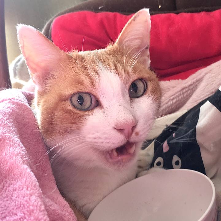 A6b1932c 2bef 47f7 83ec d8a1a624313a 1573799707869