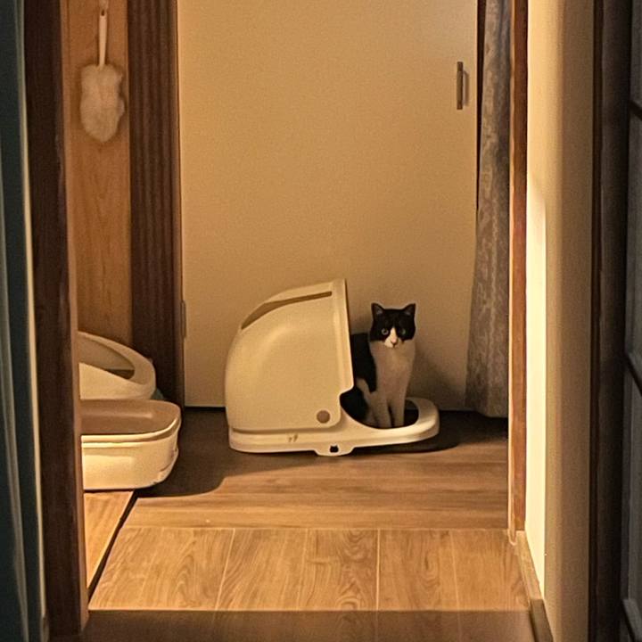 A6b20ceb 08b2 421b af05 f2665ee758f9 1718810119830