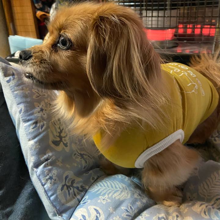 A6b241f3 d7d8 4e22 b769 41bd76a52b65 1614461818334