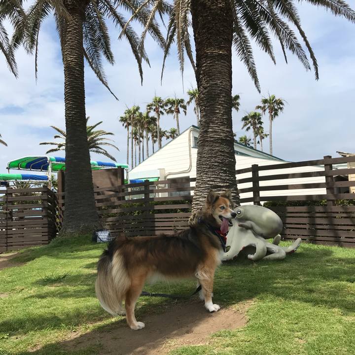 A6b25096 297f 4479 8c2c 1097a9f6c0aa 1530679740144