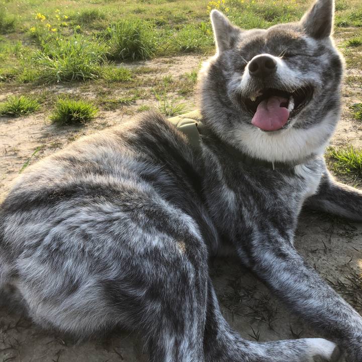 A6b257b5 b68a 40b3 97fc 4a3f97570ae1 1588244610810