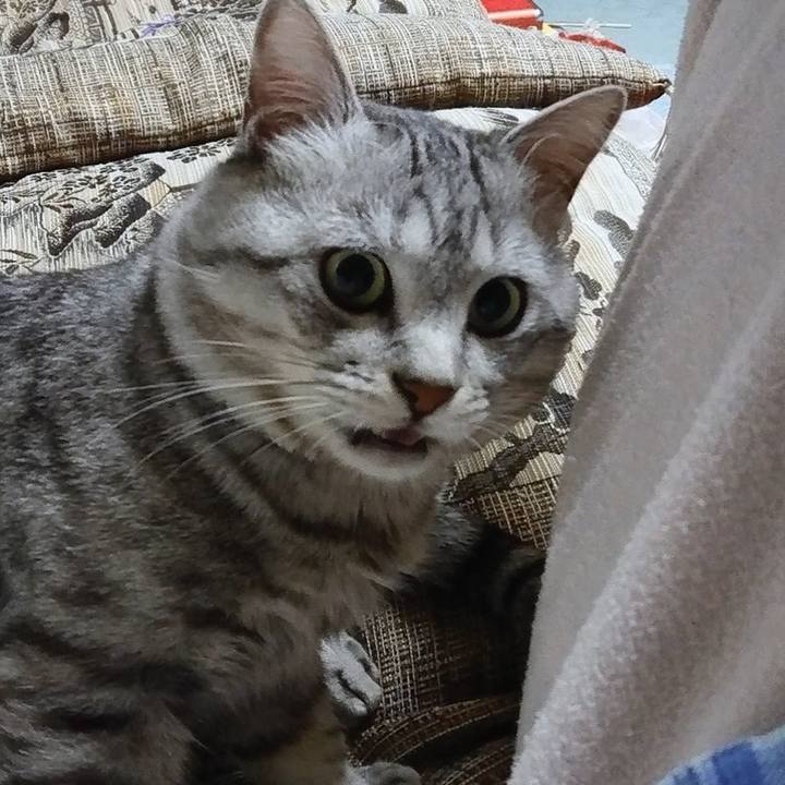 A6b26b77 b198 4e9d b8af 7129746e360d 1549849885419