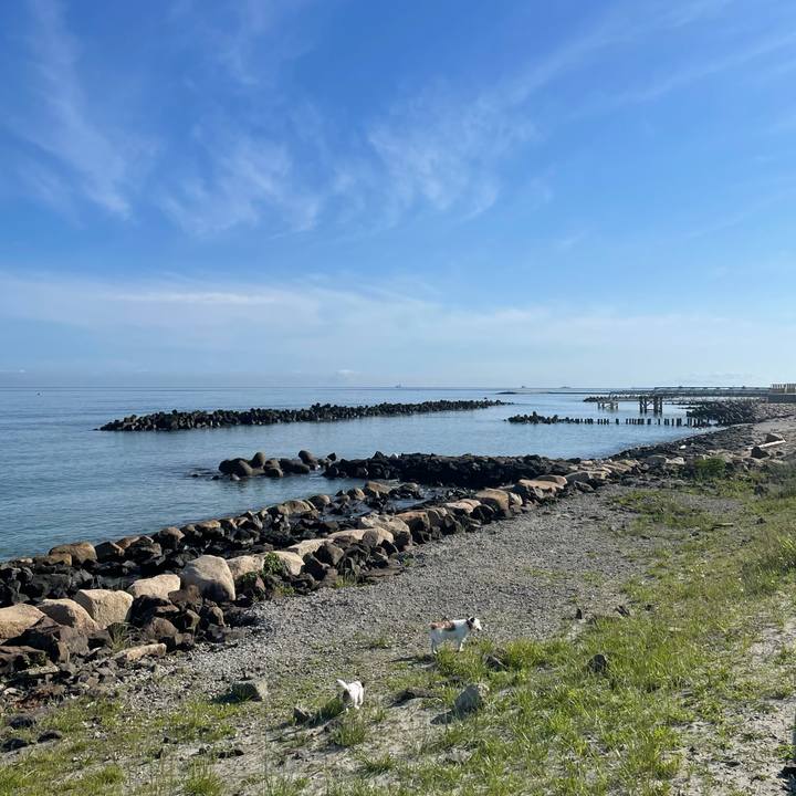 A6b27cd0 6b4a 4eef bf95 28bc3c945ce9 1622419104505