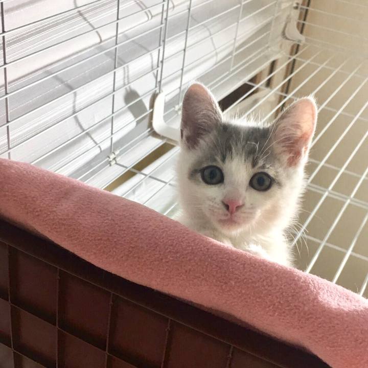 A6b2ca78 e1c5 4900 a679 91904d1024c5 1512551996307