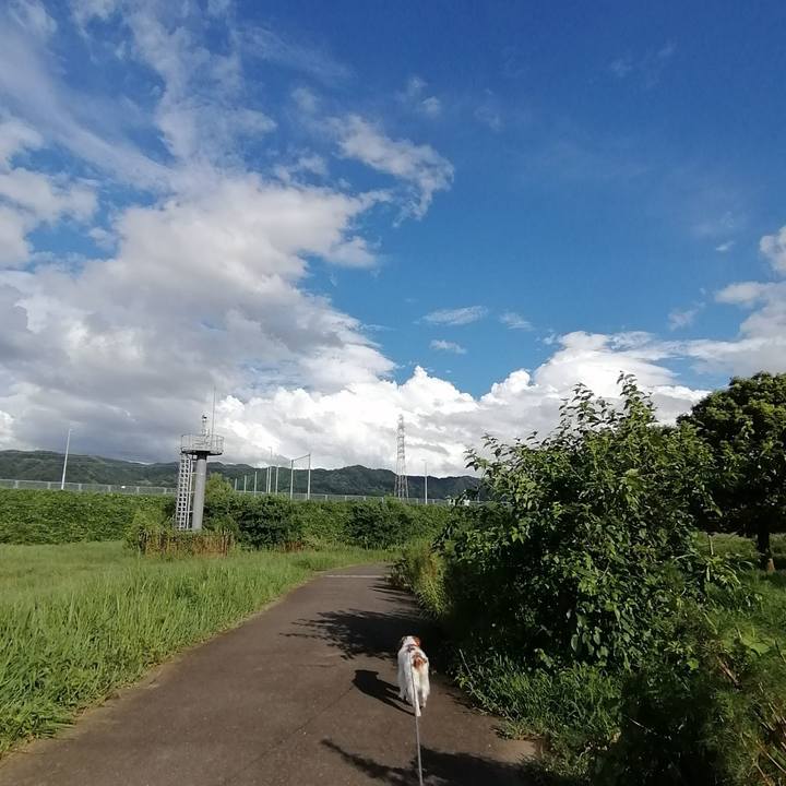 A6b32be2 e667 4dc2 988a c12978bf2164 1629285295131