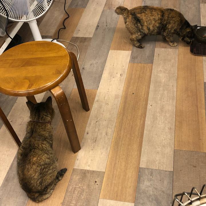 A6b34915 1940 468d aacc be9aacc5a1b1 1619096726617