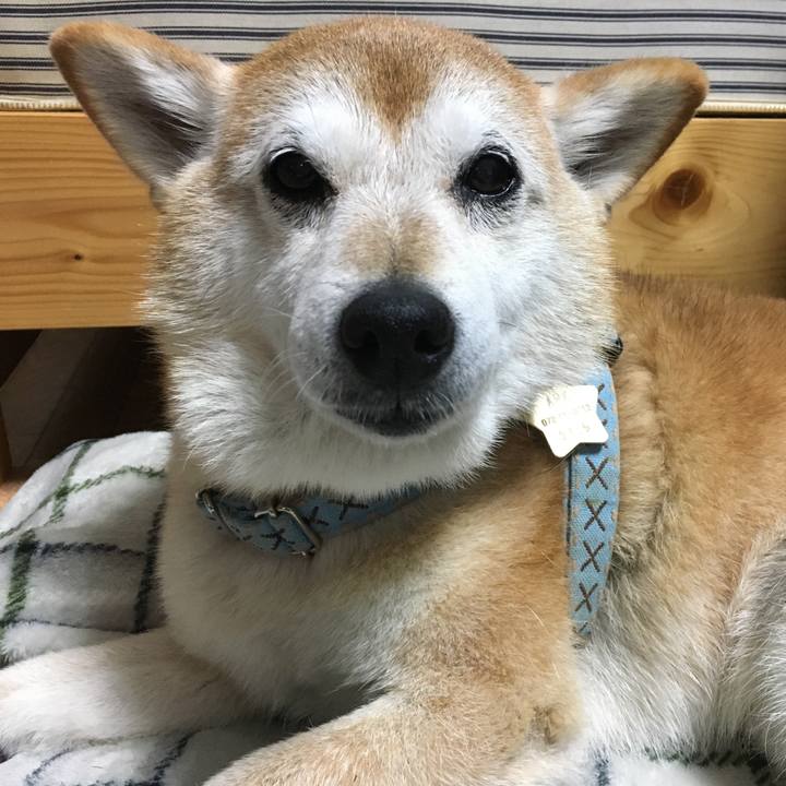 A6b37754 aee1 4701 95e6 f0cb7ca9d240 1508016296192