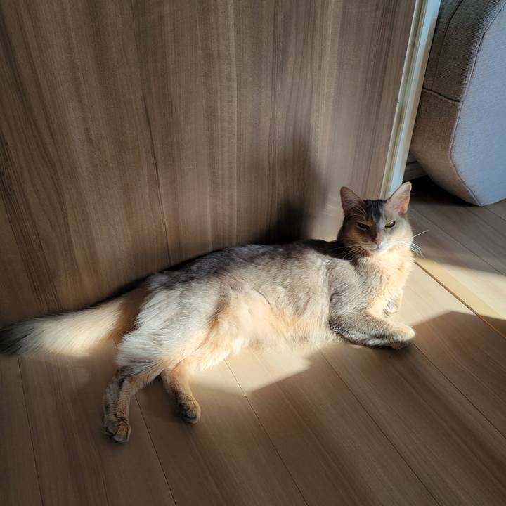 A6b37cff 8d73 4611 bb47 d29c5a5a3dbc 1637367932794