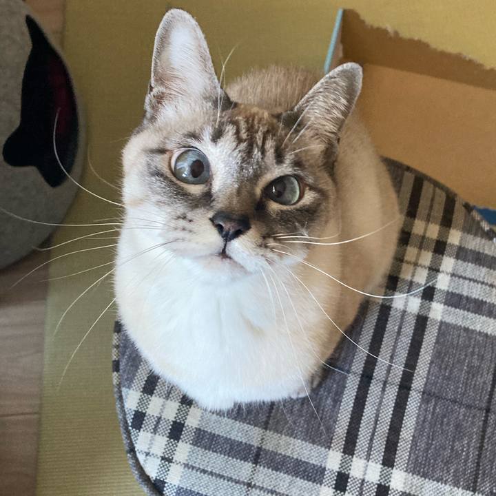 A6b38500 de0a 4b5f 8840 374fc7c21d6c 1672889615819