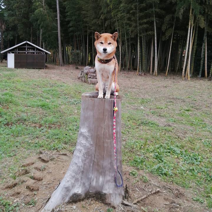 A6b3aae4 401e 409c a050 7f638768d639 1606632973620