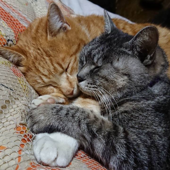 A6b3bf9a b42d 4efc ae8f 0ebfb3f1a1a9 1578055289591