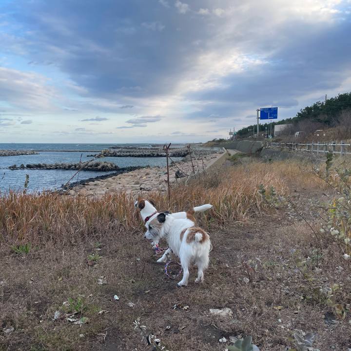 A6b3d78b b018 4e47 8478 76260791f632 1763077104109