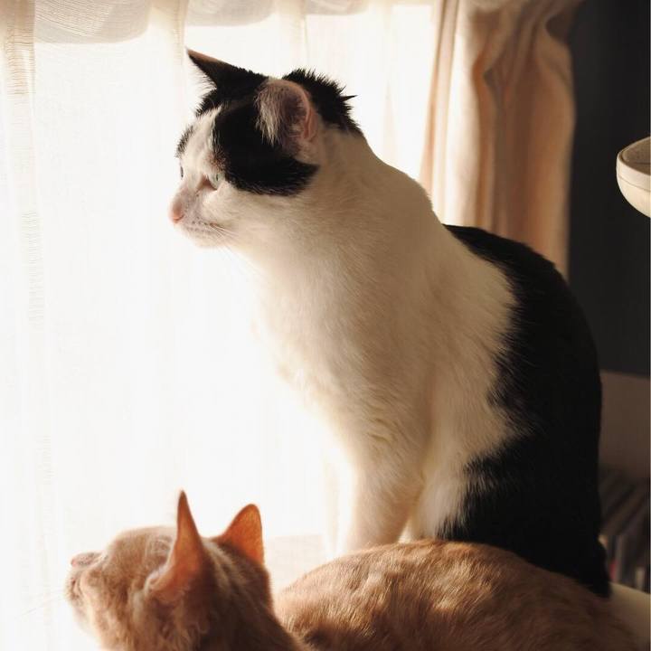 A6b3dbf4 46e4 467d a8dc 47992f1e37d4 1548914735703