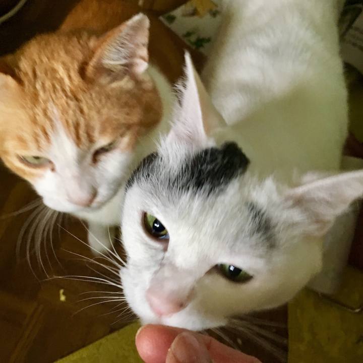 A6b3e093 c329 48a8 97e3 8bfa45a570bb 1561172443448