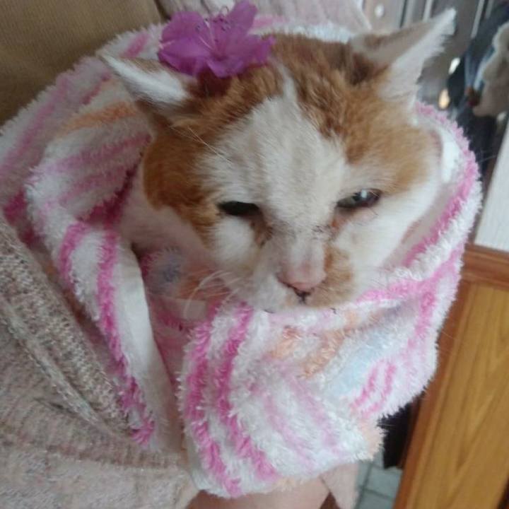 A6b419b8 dc20 4738 a1f4 42a7e6b3efc9 1619333049334