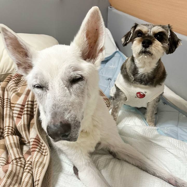 A6b47878 1fd4 4e1b b0cd 795d5b362f80 1704409748686