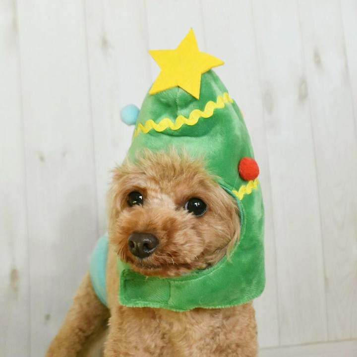 A6b47923 9dde 4d33 9a4a f82f3021c7d2 1512395462694