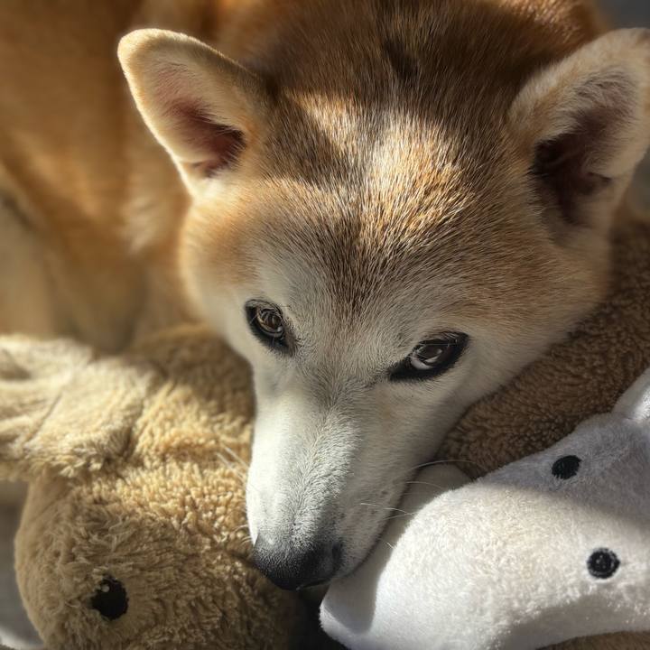 A6b4d7e0 cbef 4fca 887c d87cadfcd676 1735769443034